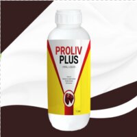Proliv Plus